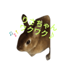りさちゃんスタンプ！（個別スタンプ：24）