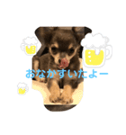 ウルぼうの1日（個別スタンプ：3）