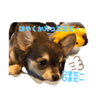 ウルぼうの1日（個別スタンプ：4）