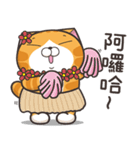 ランラン猫 18 (台湾版)（個別スタンプ：1）