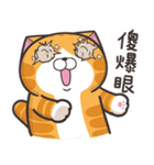 ランラン猫 18 (台湾版)（個別スタンプ：2）
