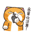ランラン猫 18 (台湾版)（個別スタンプ：8）