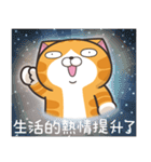 ランラン猫 18 (台湾版)（個別スタンプ：15）