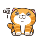 ランラン猫 18 (台湾版)（個別スタンプ：18）