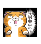 ランラン猫 18 (台湾版)（個別スタンプ：22）