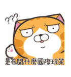 ランラン猫 18 (台湾版)（個別スタンプ：24）