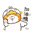 ランラン猫 18 (台湾版)（個別スタンプ：29）