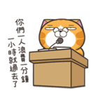 ランラン猫 18 (台湾版)（個別スタンプ：36）