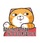 ランラン猫 18 (台湾版)（個別スタンプ：38）