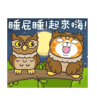 ランラン猫 18 (台湾版)（個別スタンプ：39）