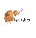 あんこちゃんすたんぷ②（個別スタンプ：6）