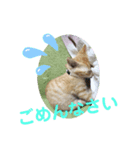 もかstamp③（個別スタンプ：6）