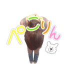 ゆみたんお誕生日おめでとうスタンプ（個別スタンプ：5）