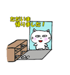 日常会話(敬語） 白猫のミャウ（個別スタンプ：38）