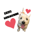 ブランくんstamp（個別スタンプ：4）
