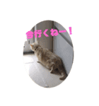 うたまろスタンプ②よく使う編（個別スタンプ：2）