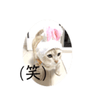うたまろスタンプ②よく使う編（個別スタンプ：14）