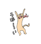 マフラーネコ（個別スタンプ：1）