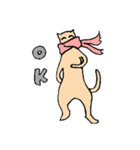 マフラーネコ（個別スタンプ：2）
