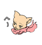 マフラーネコ（個別スタンプ：5）