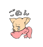 マフラーネコ（個別スタンプ：7）