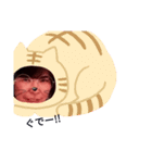 veq参上（個別スタンプ：4）