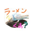 鳥さんと愉快なギョロ目ちゃん（個別スタンプ：4）