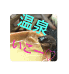 鳥さんと愉快なギョロ目ちゃん（個別スタンプ：10）
