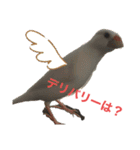鳥さんと愉快なギョロ目ちゃん（個別スタンプ：18）