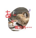 鳥さんと愉快なギョロ目ちゃん（個別スタンプ：19）