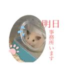 鳥さんと愉快なギョロ目ちゃん（個別スタンプ：21）