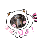 いつでも、いっしょ！（個別スタンプ：1）