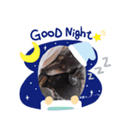 いつでも、いっしょ！（個別スタンプ：3）