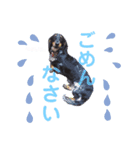 いつでも、いっしょ！（個別スタンプ：6）