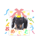いつでも、いっしょ！（個別スタンプ：8）