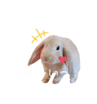 蓮のお気に入り（個別スタンプ：2）