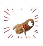 蓮のお気に入り（個別スタンプ：4）
