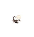 瓦そば！（個別スタンプ：10）