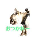 び、び、ビーム！（個別スタンプ：2）