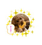 ヨーゼフスタンプ 1-1（個別スタンプ：1）