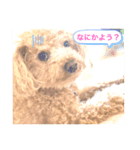 ヨーゼフスタンプ 1-1（個別スタンプ：7）