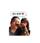 ミニチュアダックスフンドのダーコ日本語（個別スタンプ：24）