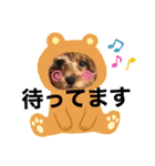 ルルララ夫婦（個別スタンプ：6）