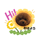 ルルララ夫婦（個別スタンプ：9）