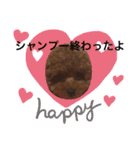 ルルララ夫婦（個別スタンプ：16）