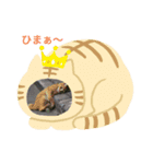 動物達全員集合〜（個別スタンプ：3）