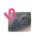 動物達全員集合〜（個別スタンプ：8）