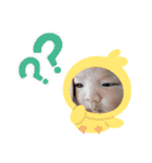 いっちゃん★スタンプ1（個別スタンプ：31）