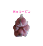 イタグレ  そらくん（個別スタンプ：5）