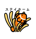 ゆる水族（個別スタンプ：20）